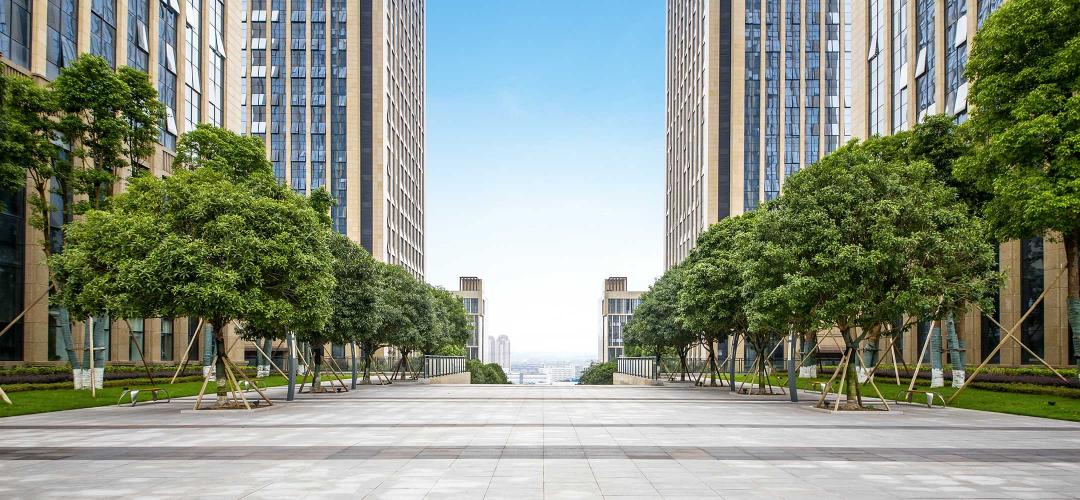 Symmetrical view of two tall buildings with green trees lining the walkway in between, leading to an open sky background.