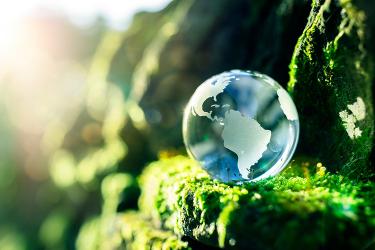 A glass globe rests on lush green moss, with the Americas prominently visible, bathed in sunlight.